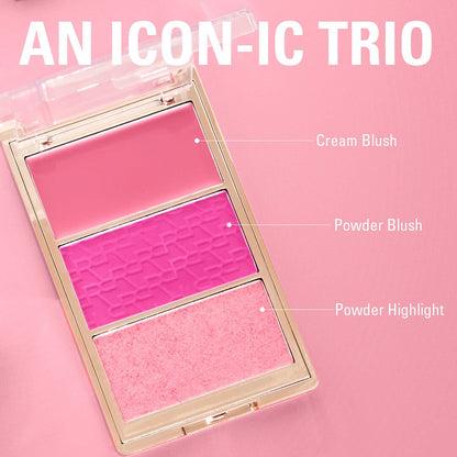 Revolution Blush Icon Palette Aura Points Rose
