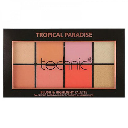 TECHNIC BLUSH & HIGHLIGHT PALETTE